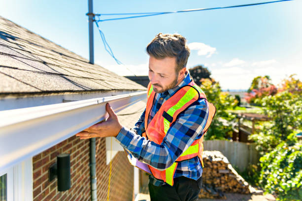 Best Roof Moss and Algae Removal  in Bruceton, TN