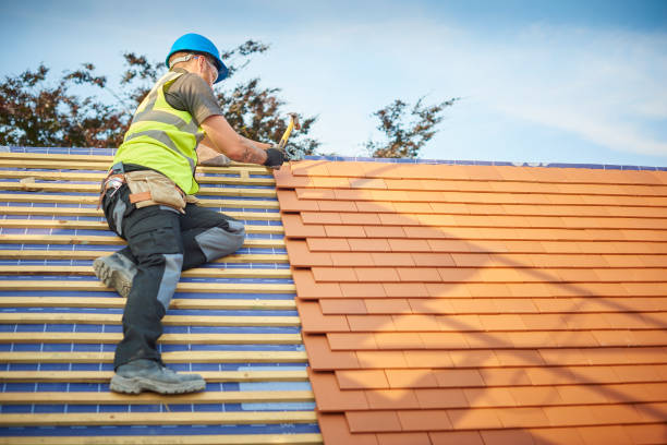 Best Roof Coating and Sealing  in Bruceton, TN